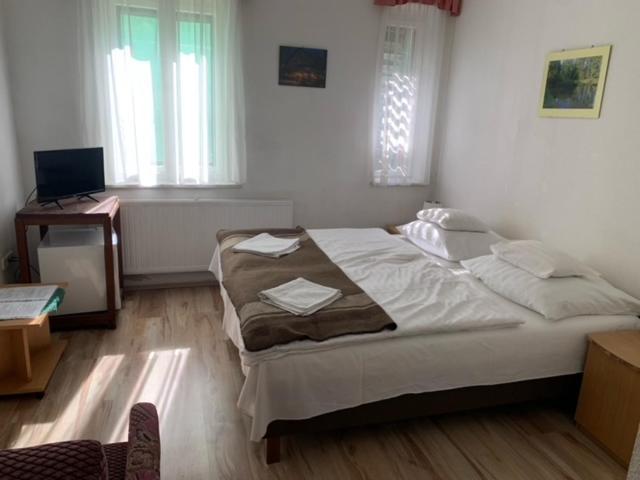 Sebesviz Panzio Bed & Breakfast Repashuta Ngoại thất bức ảnh