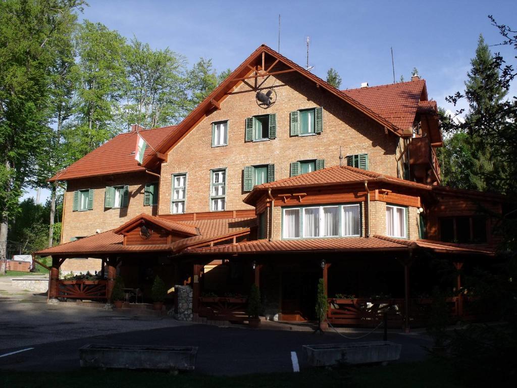 Sebesviz Panzio Bed & Breakfast Repashuta Ngoại thất bức ảnh